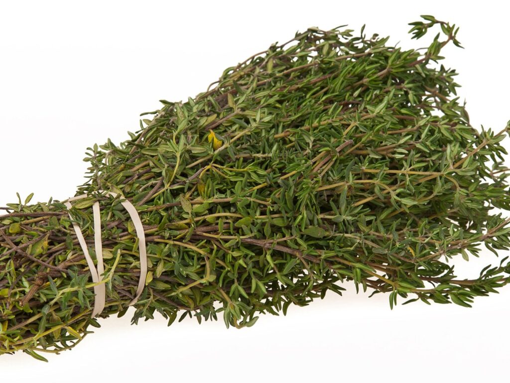 A bundle of fresh thyme