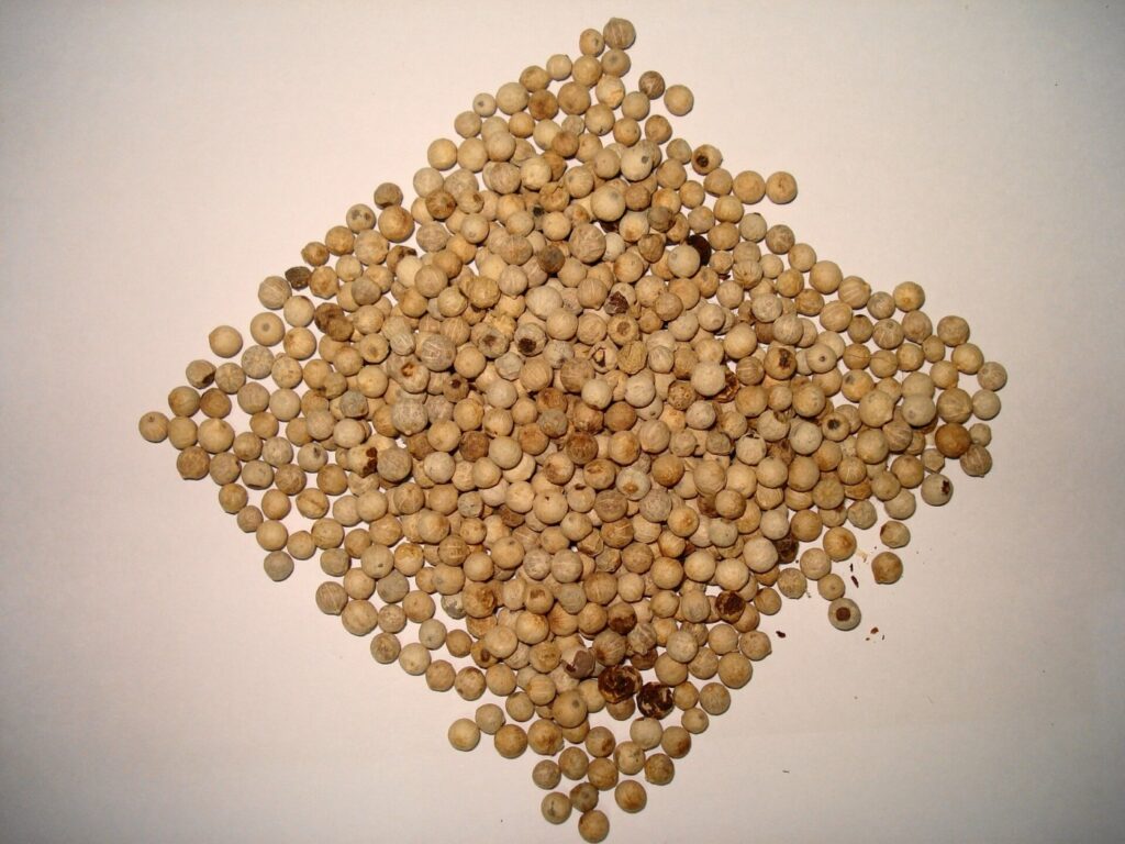 Whole white peppercorns