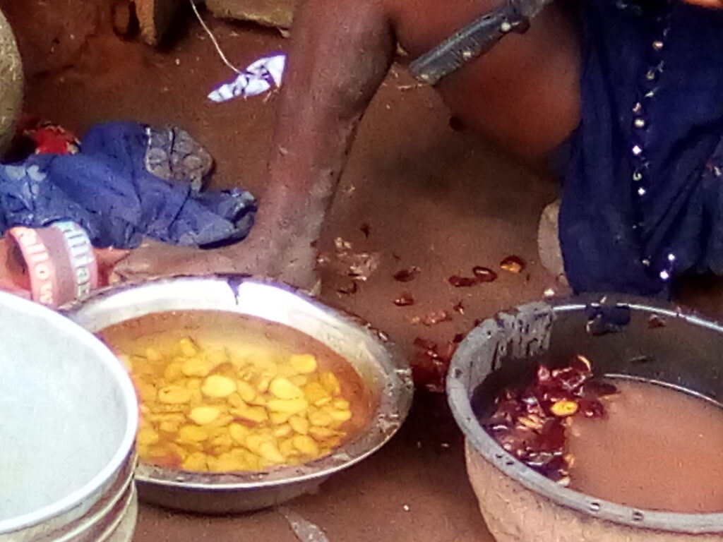 Achi seeds being processed in Lagwa, Imo State